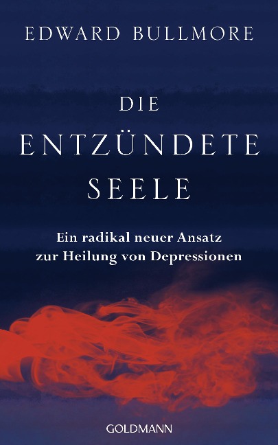 Die entzündete Seele - Edward Bullmore