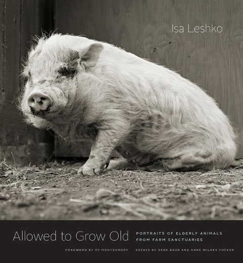 Allowed to Grow Old - Isa Leshko