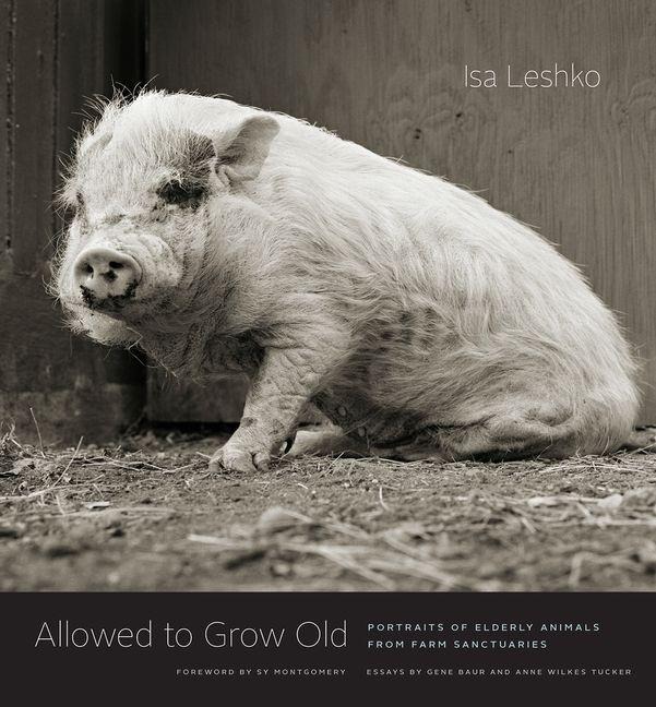 Allowed to Grow Old - Isa Leshko