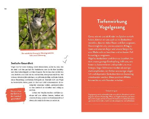 InsideView 3