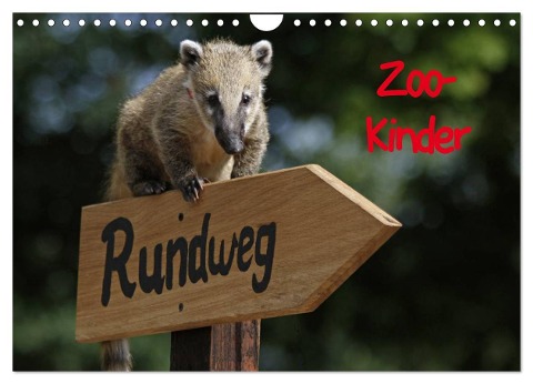 Zoo-Kinder (Wandkalender 2025 DIN A4 quer), CALVENDO Monatskalender - Pferdografen. de Pferdografen. de