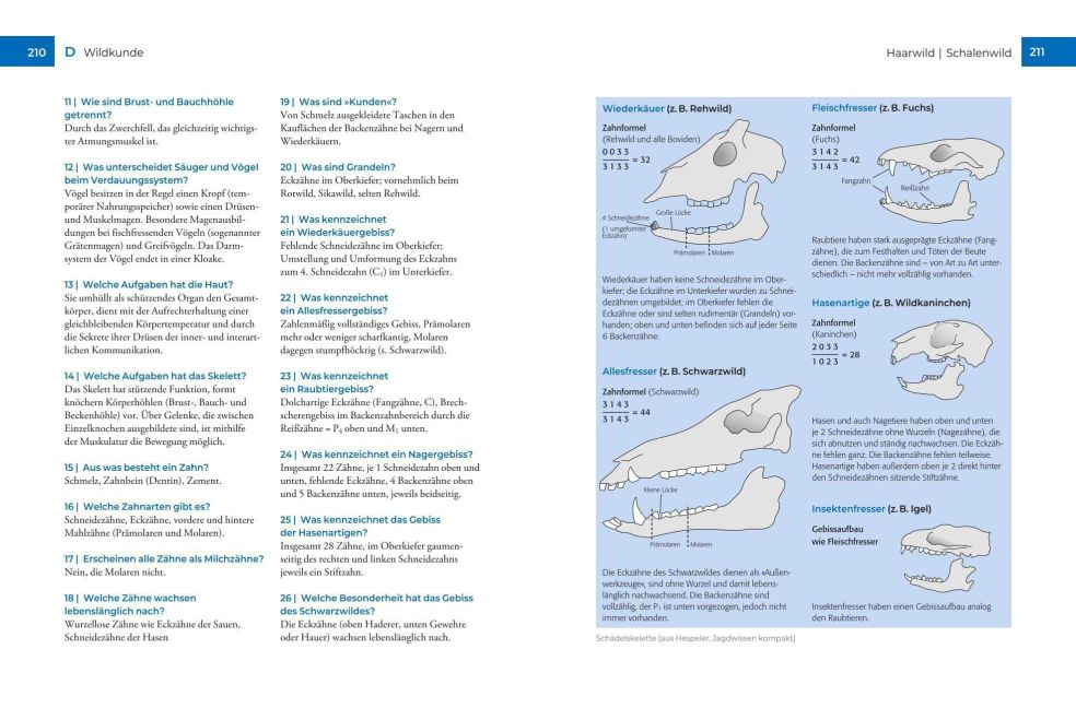 InsideView 5