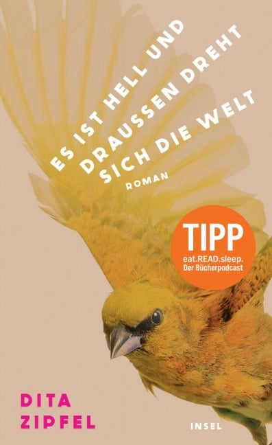 Es ist hell und draußen dreht sich die Welt - Dita Zipfel