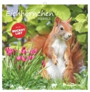 Cover-Bild zum Titel 'Eichhörnchen 2027' von ''
