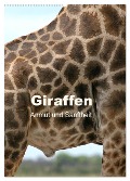 Giraffen - Anmut und Sanftheit (Wandkalender 2024 DIN A2 hoch), CALVENDO Monatskalender - Michael Herzog