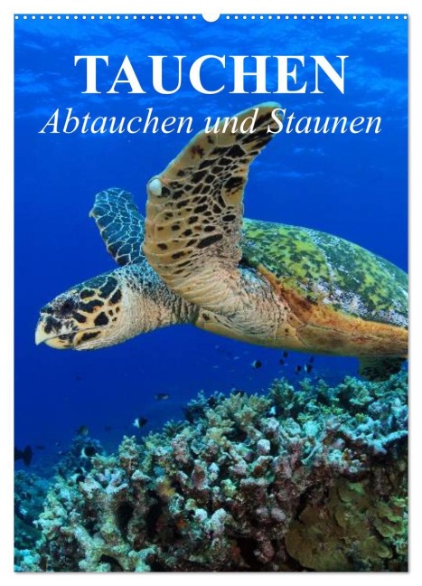 Tauchen - Abtauchen und Staunen (Wandkalender 2026 DIN A2 hoch), CALVENDO Monatskalender - Elisabeth Stanzer