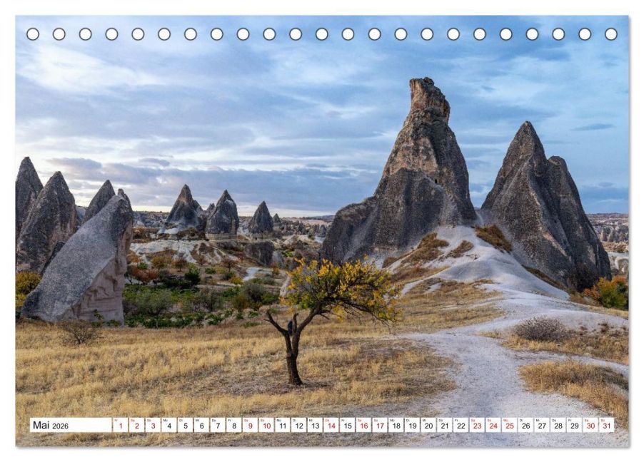 InsideView 10