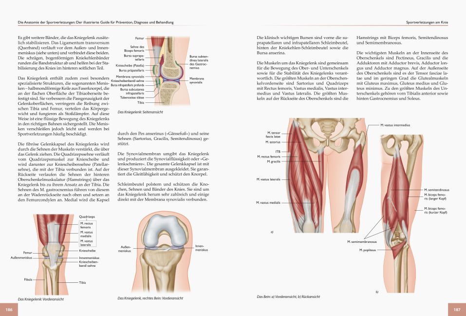 InsideView 4