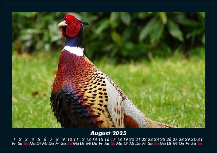 InsideView 12