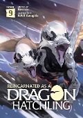 Cover-Bild zum Titel 'Reincarnated as a Dragon Hatchling (Light Novel) Vol. 9' von 'Necoco'