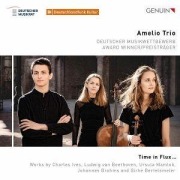 Cover-Bild zum Titel 'Time in Flux...' von 'Amelio Trio'