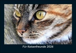 Cover-Bild zum Titel 'Für Katzenfreunde 2026 Fotokalender DIN A5' von 'Tobias Becker'