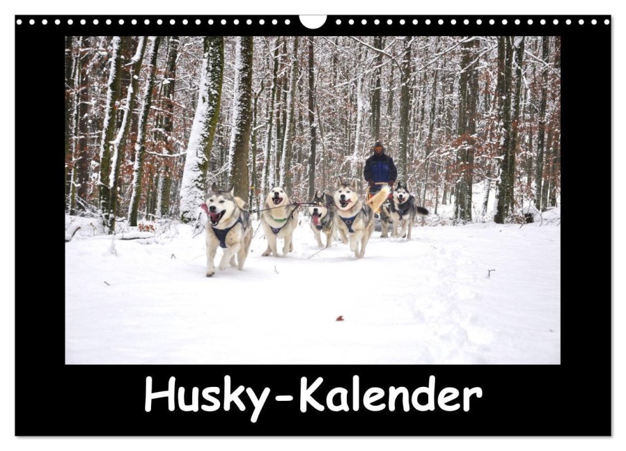 Husky-Kalender (Wandkalender 2026 DIN A3 quer), CALVENDO Monatskalender - Andiwolves Andiwolves
