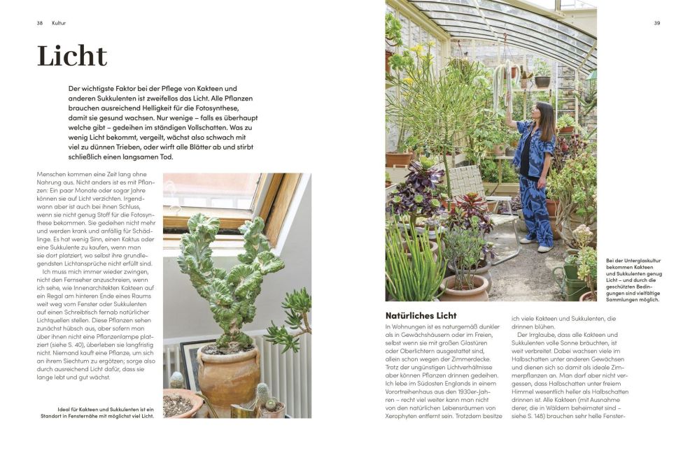 InsideView 4