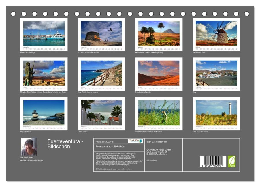InsideView 5