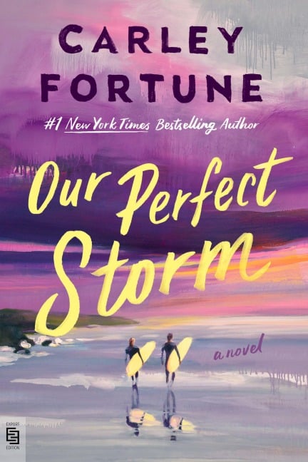 Our Perfect Storm - Carley Fortune