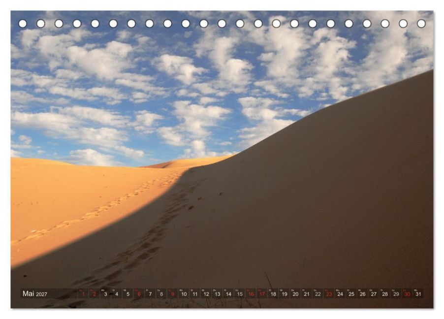 InsideView 10