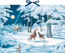 Wand-Adventskalender - Wintertiere bei Nacht - 