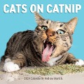 Cats on Catnip Wall Calendar 2024 - Andrew Marttila, Workman Calendars