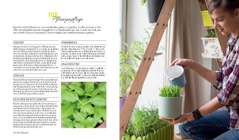 InsideView 1