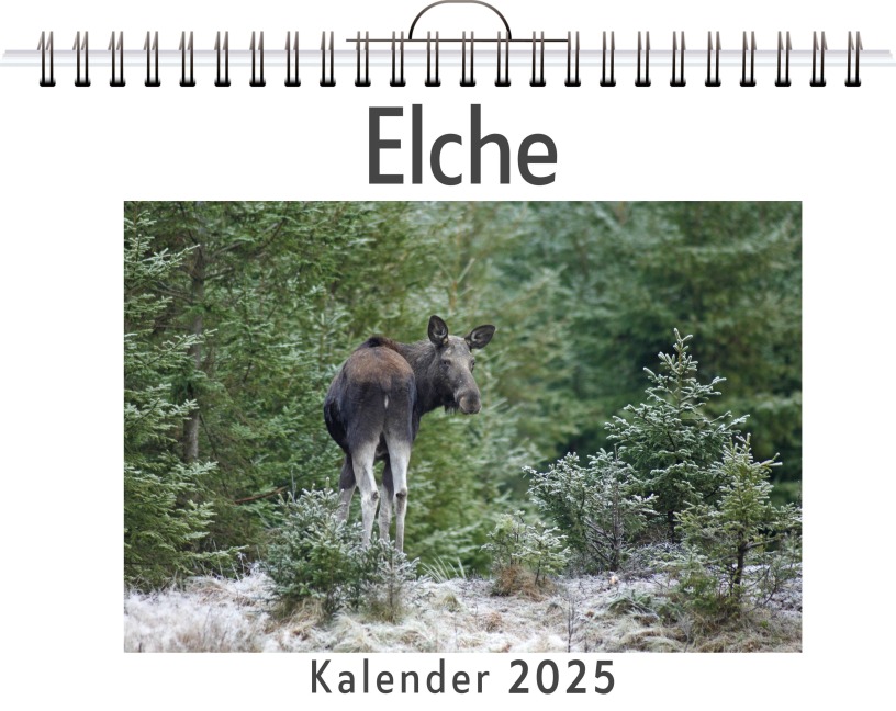 Elche - Clara Möller
