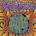 Cover-Bild zum Titel 'At The Pongmasters Ball' von 'Ozric Tentacles'