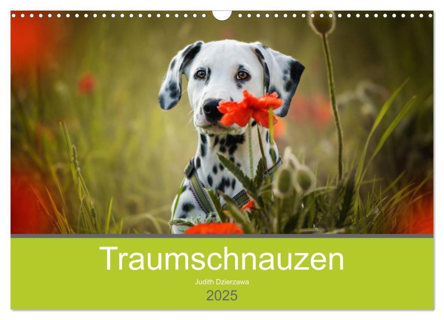 Traumschnauzen (Wandkalender 2025 DIN A3 quer), CALVENDO Monatskalender - Judith Dzierzawa