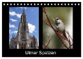 Ulmer Spatzen (Tischkalender 2024 DIN A5 quer), CALVENDO Monatskalender - Kattobello Kattobello