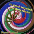 Cover-Bild zum Titel '17 Jahre vernebelt den Bach runter' von 'Pascal Arend'
