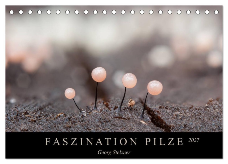 FASZINATION PILZE 2027 (Tischkalender 2027 DIN A5 quer), CALVENDO Monatskalender - Georg Stelzner