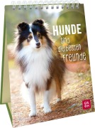Cover-Bild zum Titel 'Hunde sind die besten Freunde' von ''