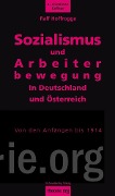 Cover-Bild zum Titel 'Sozialismus und Arbeiterbewegung in Deutschland und Österreich' von 'Ralf Hoffrogge'