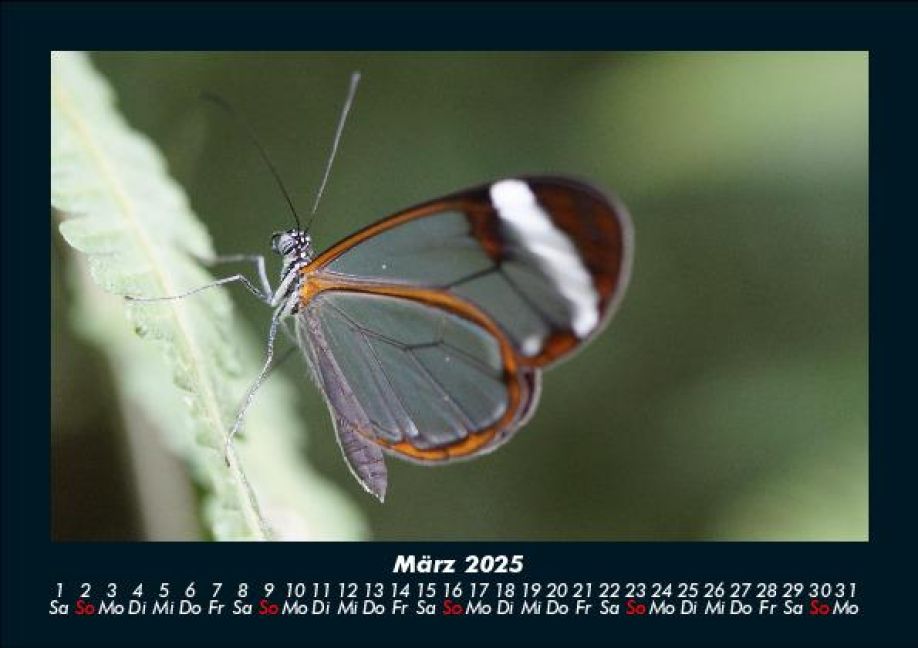 InsideView 7