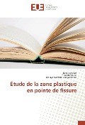 Cover-Bild zum Titel 'Étude de la zone plastique en pointe de fissure' von 'Tien Dung Do, Florent Chalon, Narayanaswami Ranganathan'