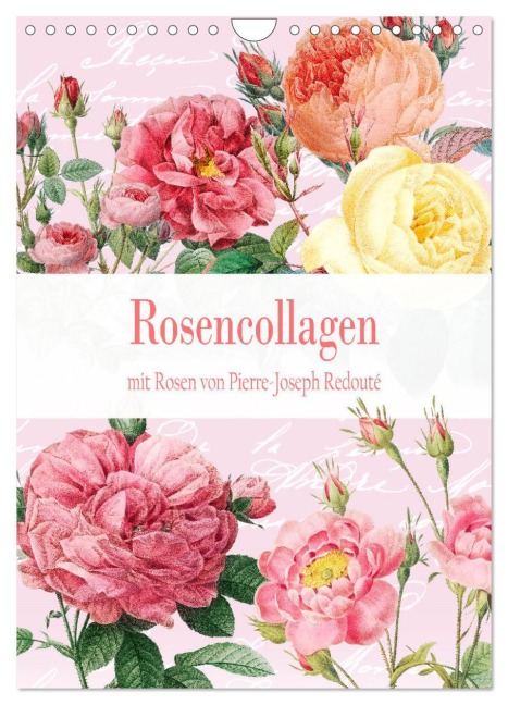 Rosencollagen mit Rosen von Pierre-Joseph Redouté (Wandkalender 2026 DIN A4 hoch), CALVENDO Monatskalender - Christine B-B Müller Rosencollagen mit Rosen von Pierre-Joseph Redouté (Wandkalender 2026 DIN A4 hoch), CALVENDO Monatskalender - Christine B-B Müller