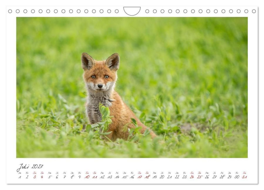 InsideView 12