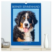 Cover-Bild zum Titel 'Berner Sennenhund - Ein Hund für alle Fälle (hochwertiger Premium Wandkalender 2026 DIN A2 hoch), Kunstdruck in Hochglanz' von 'Sigrid Starick'