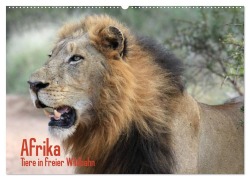 Afrika. Tiere in freier Wildbahn (Wandkalender 2025 DIN A2 quer), CALVENDO Monatskalender - Elisabeth Stanzer