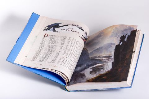InsideView 6