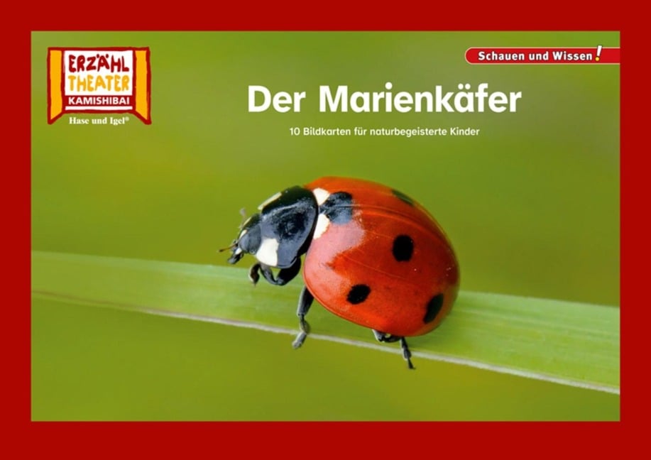 Der Marienkäfer / Kamishibai Bildkarten - 