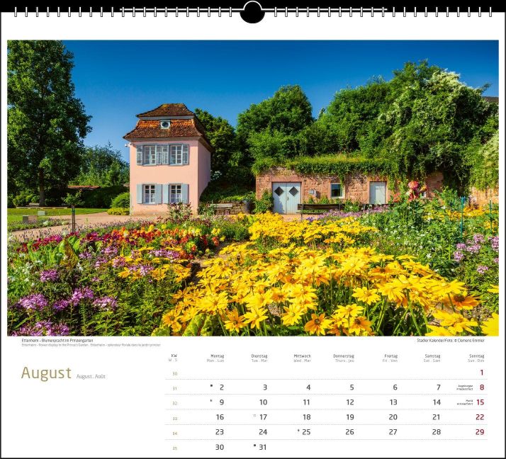 InsideView 8