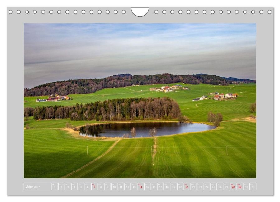InsideView 8