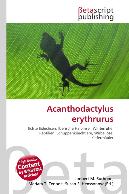 Acanthodactylus erythrurus - 