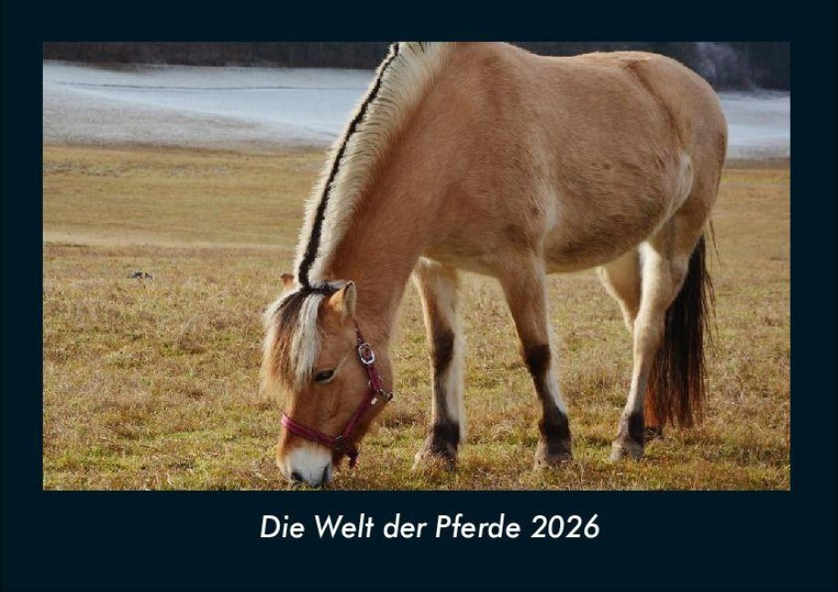 Die Welt der Pferde 2026 Fotokalender DIN A4 - Tobias Becker