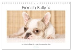 French Bully¿s - Große Schätze auf kleinen Pfoten (Wandkalender 2025 DIN A4 quer), CALVENDO Monatskalender - Susanne Stark Sugarsweet - Photo