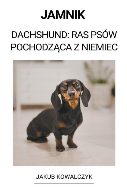 Jamnik (Dachshund - Jakub Kowalczyk