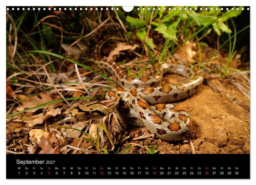 InsideView 14
