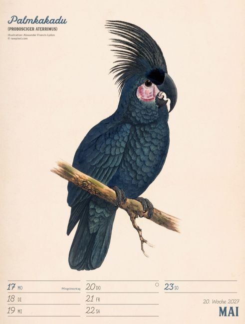 InsideView 24