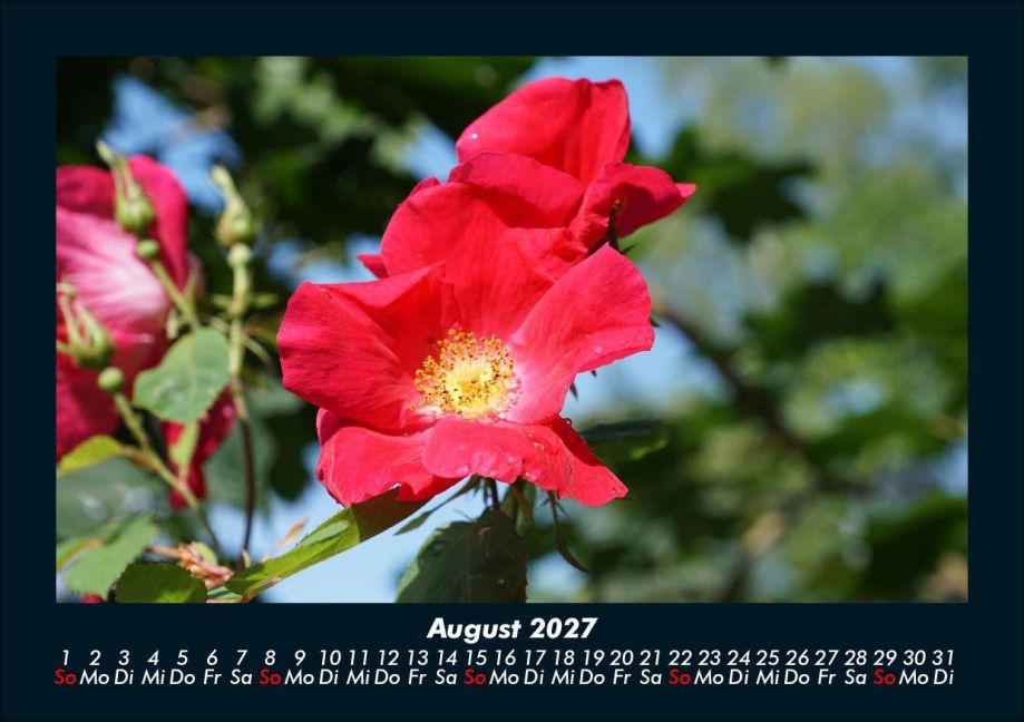 InsideView 12