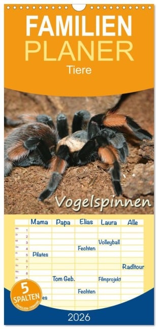 Familienplaner 2026 - Vogelspinnen mit 5 Spalten (Wandkalender, 21 x 45 cm) CALVENDO - Barbara Mielewczyk